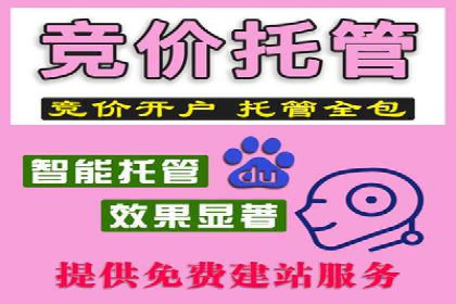 成功运用SEM服务实现品牌推广的案例分析